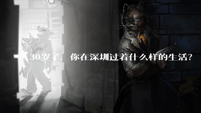 30岁了，你在深圳过着什么样的生活？